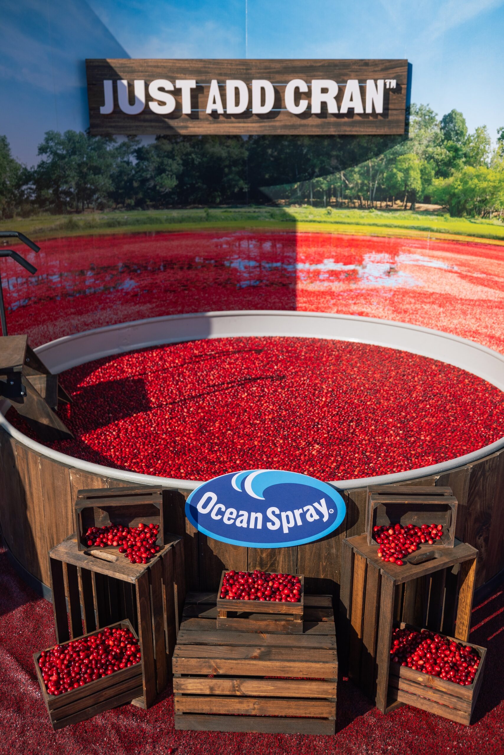 A large tub simulating a cranberry bog